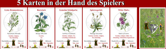 5 Karten in der Hand des Spielers 5 Karten in der Hand des Spielers